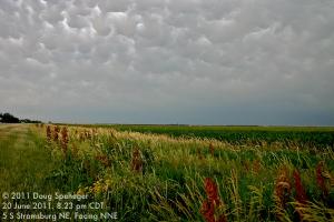 Mammatus clouds and wildflowers